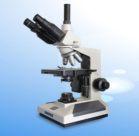 �D���@΢�R XSP-8CA